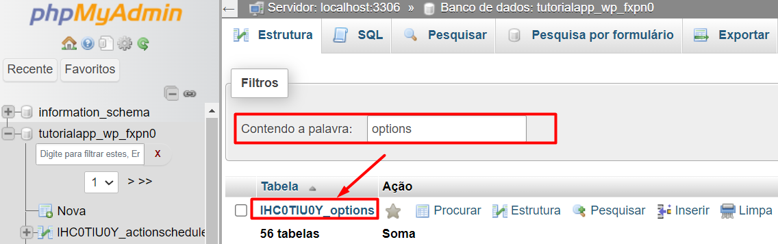 Tabela options WP