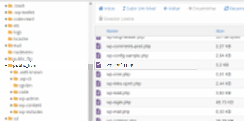 Arquivo wp config WordPress