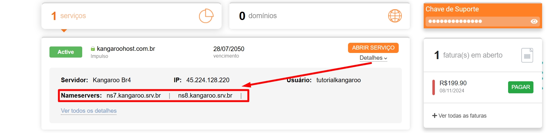 NameServers hospedagem DNS